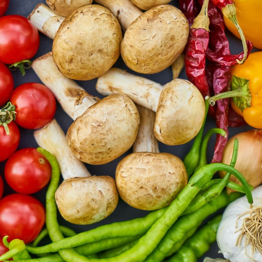 Programs 4 Nutrition results